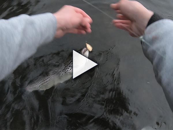 Freshly Stocked Trout Fishing on Cape Cod