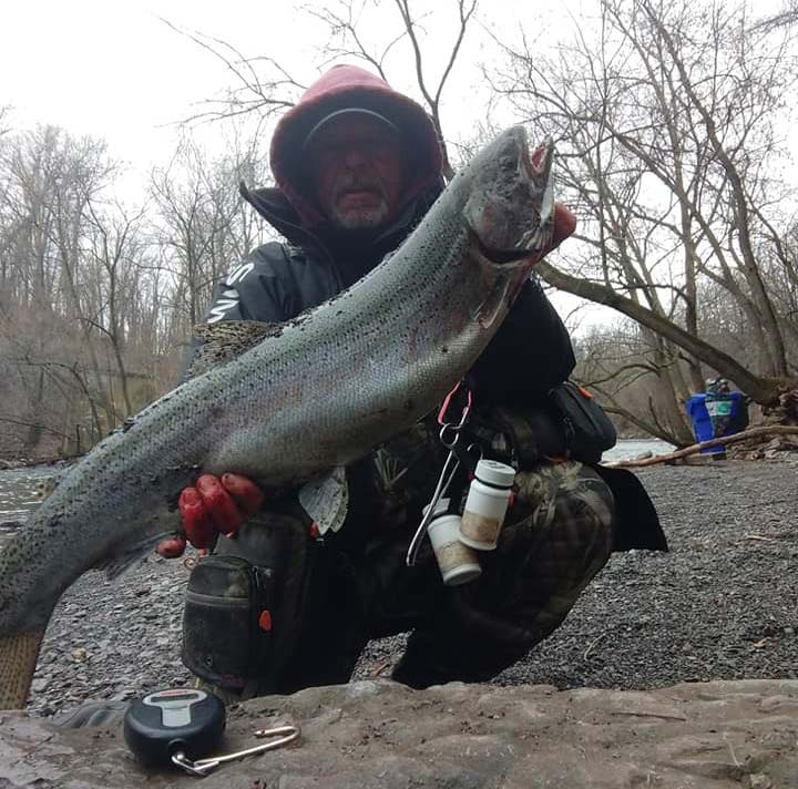 Bob Rustowicz steelhead