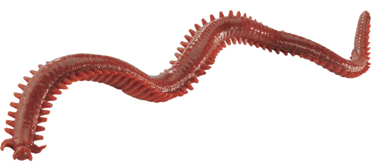 lures for New Jersey stripers in the spring