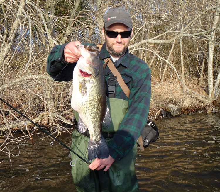 Fat spring largemouth