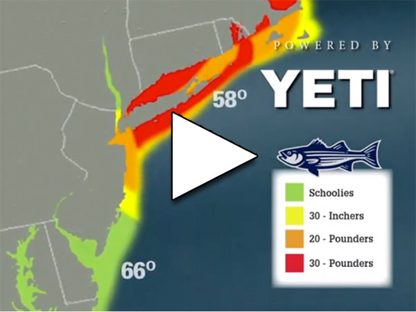 Striper Migration Map
