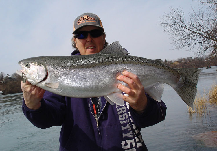 Mike Rzucidlo steelhead