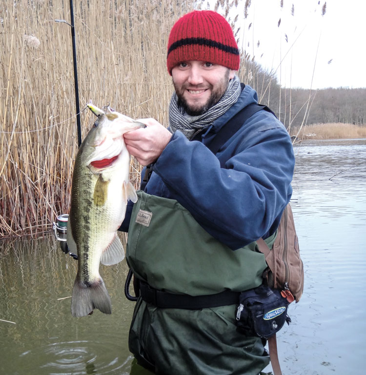 largemouth from the reeds