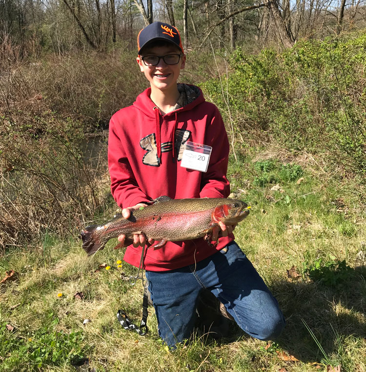 Brandt L. rainbow trout