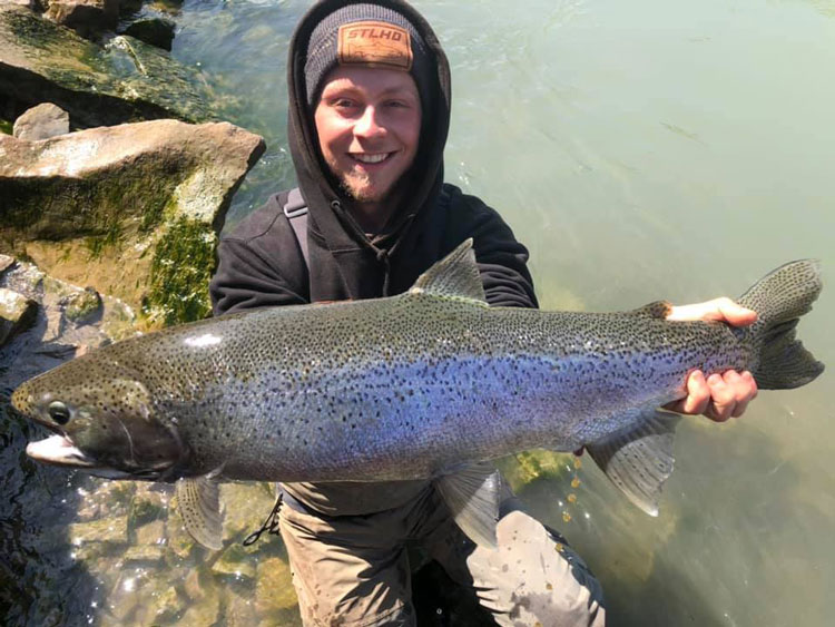 Aaron Horvatits steelhead