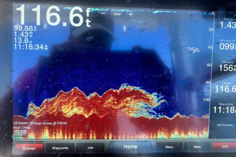 A Striper and Tuna Specialist Shares His Marine Electronic Setups