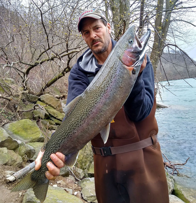 Mike Ziehm steelhead