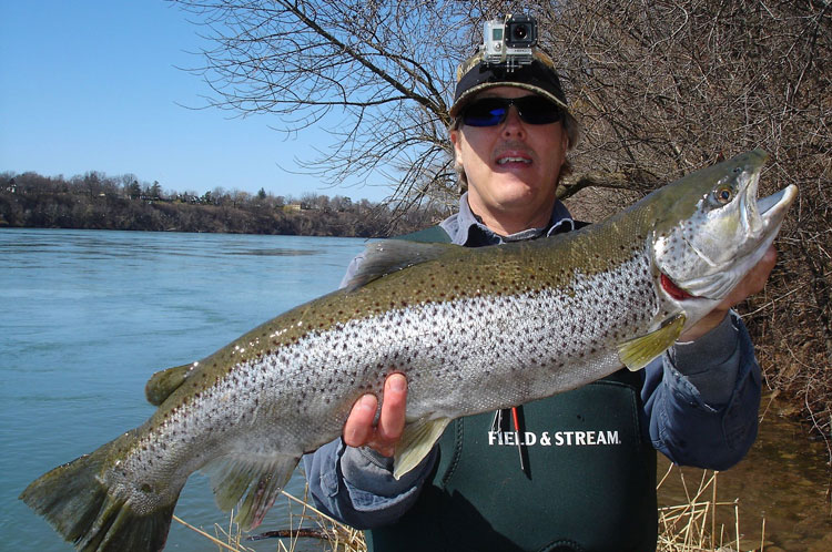 Mike Rzucidlo brown trout