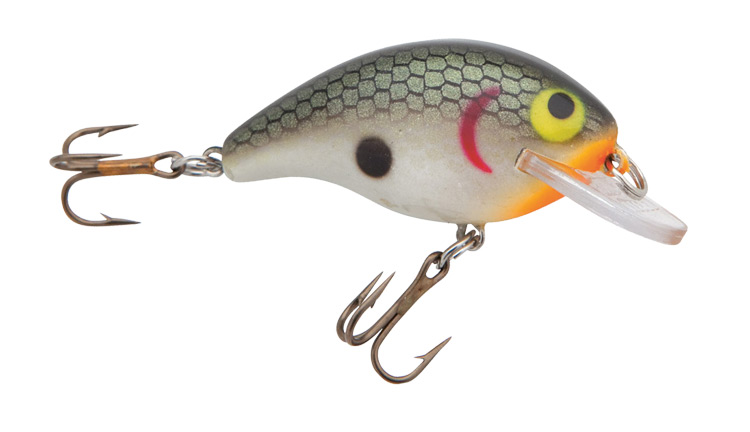 Rebel Super Teeny Wee R