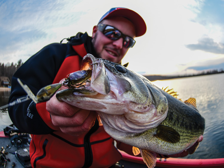 shallow water sping largemouth bass