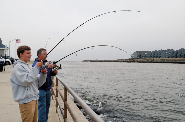 Tripled up at the rail