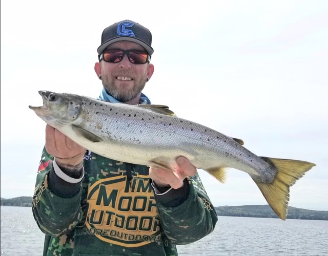 Lake Winnipesaukee salmon