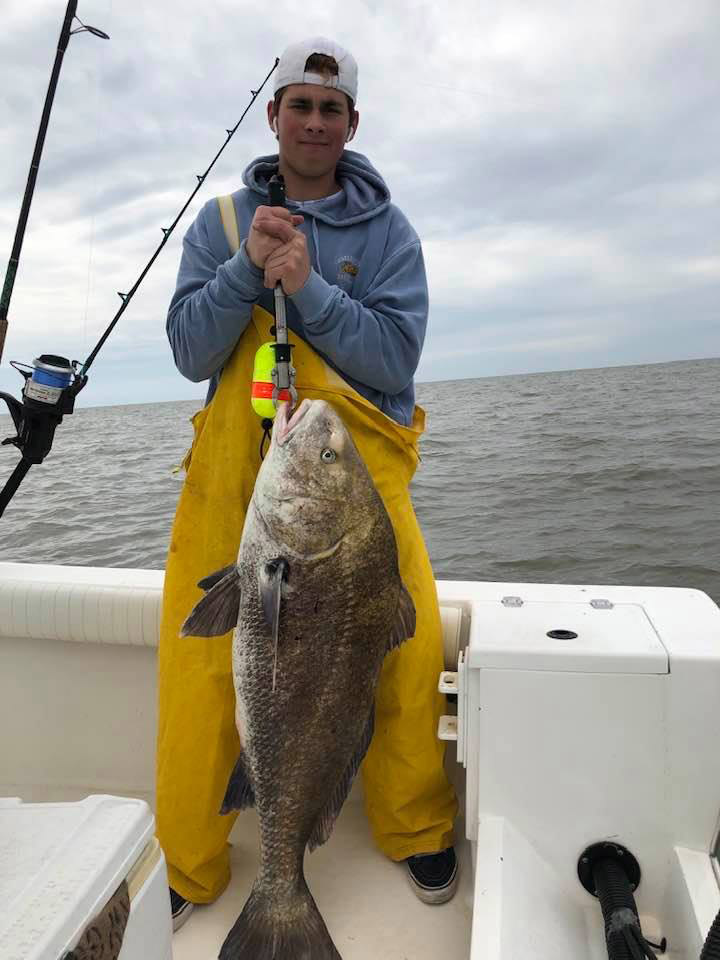 black drum