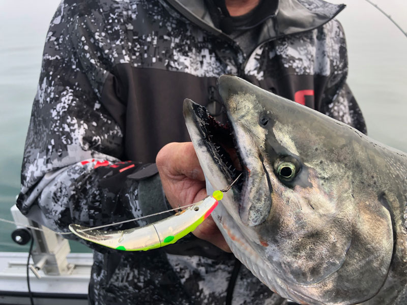 SpinFish by Yakima Bait