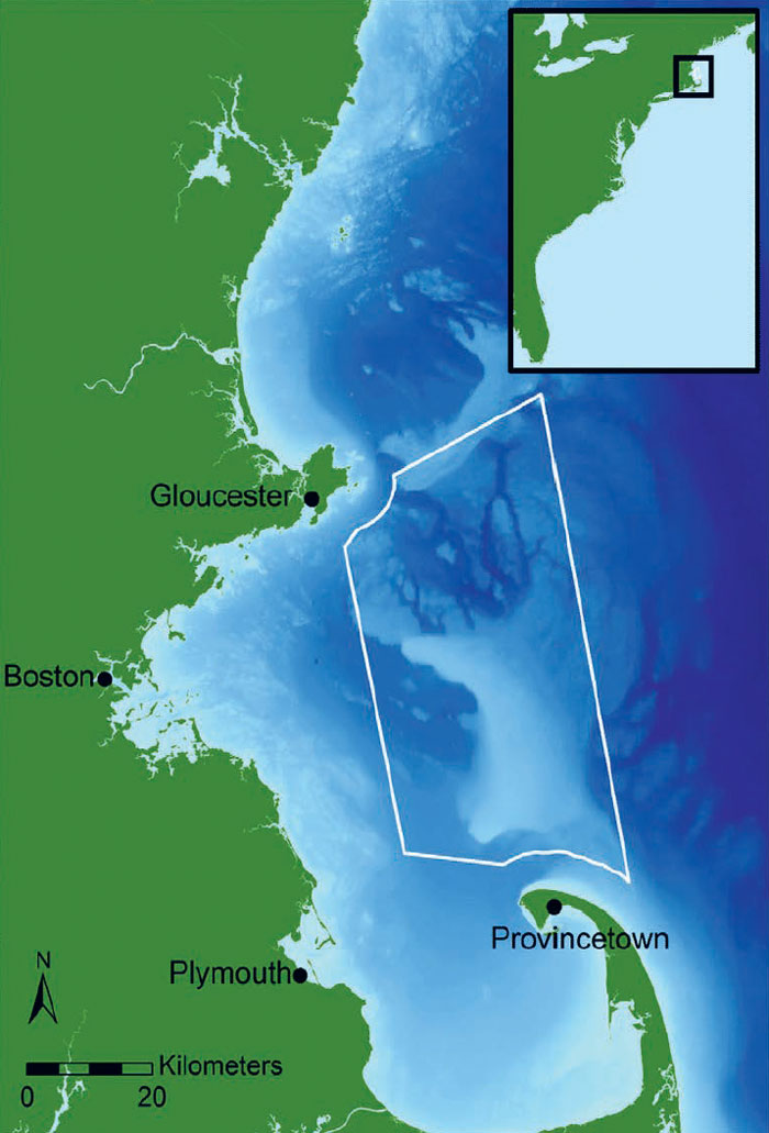 Stellwagen Bank National Marine Sanctuary