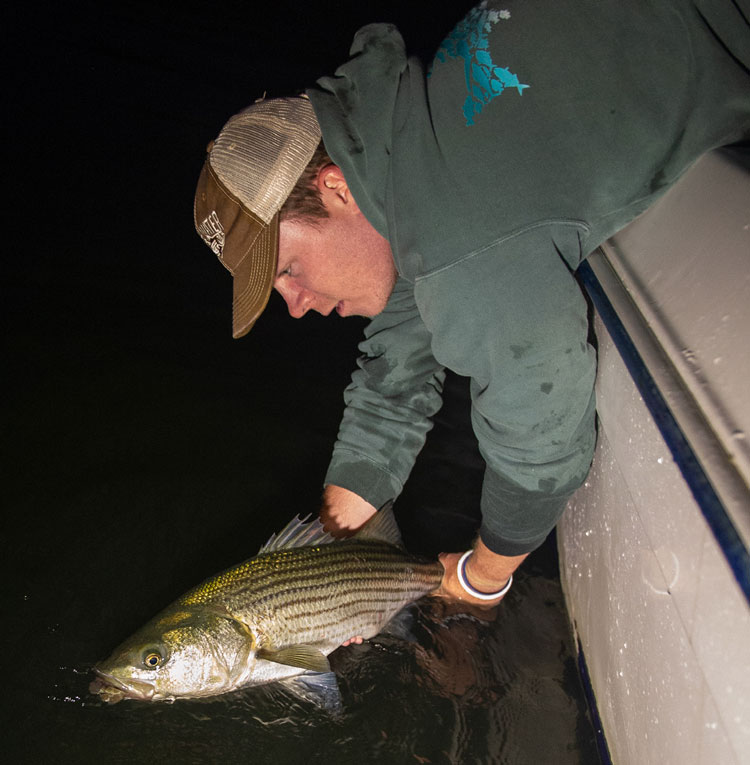 striper release