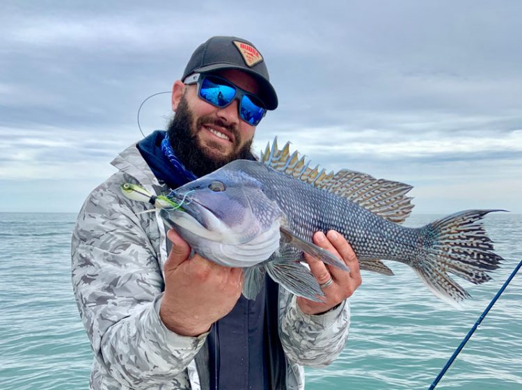 sea bass on SPRO bucktail