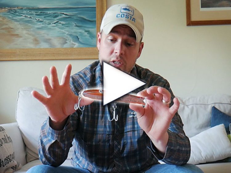 First Look: ABOA's newest plugs