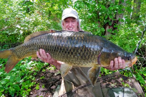 Massive Record Carp Caught and Released in Rhode Island