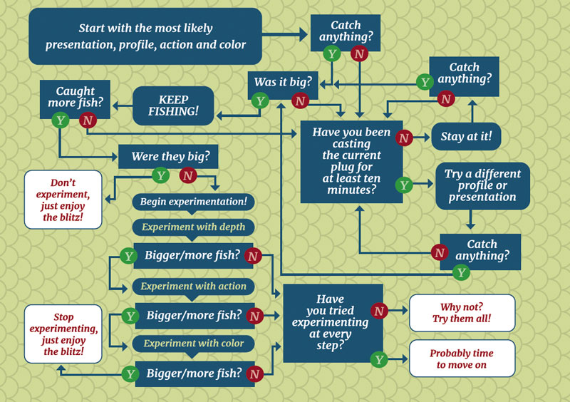 Choose The Right Plug chart