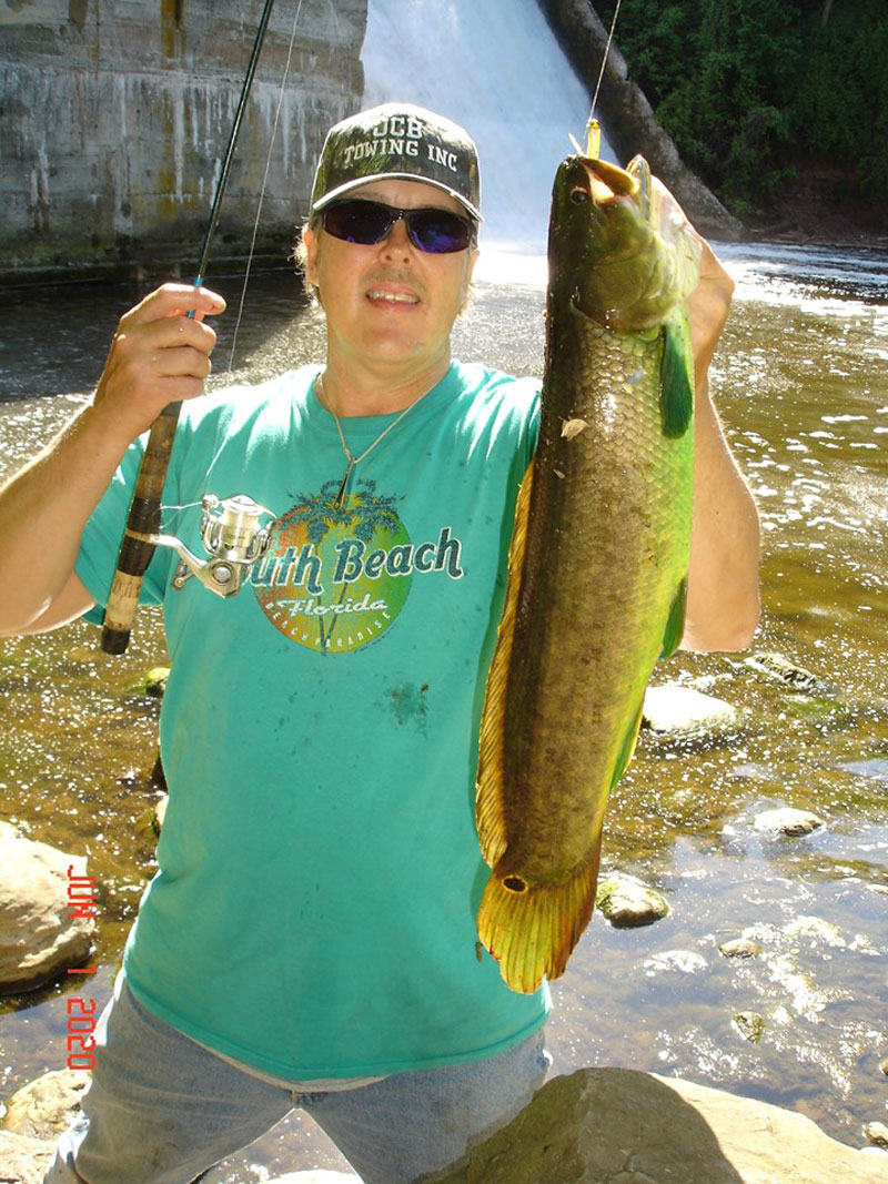 Mike Rzucidlo bowfin