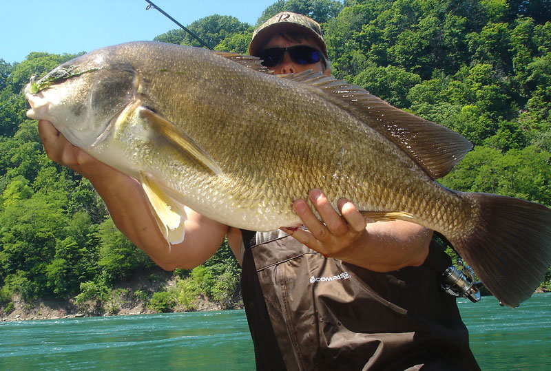 Mike Rzucidlo sheepshead