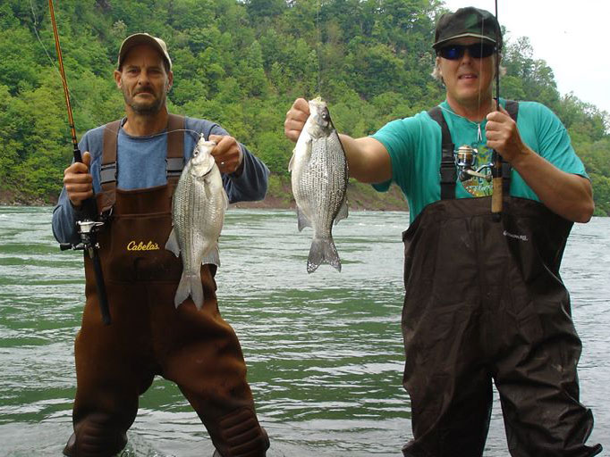 Mike Rzucidlo and Mike Ziehm 