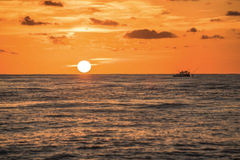Offshore Fishing scene