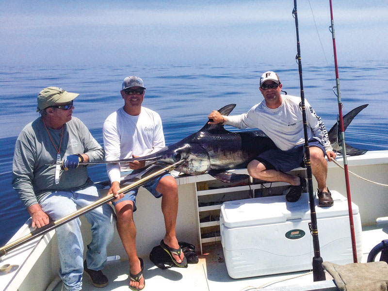 daytime swordfish