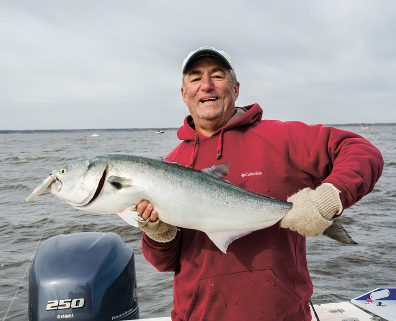 Jerry Sullivan bluefish