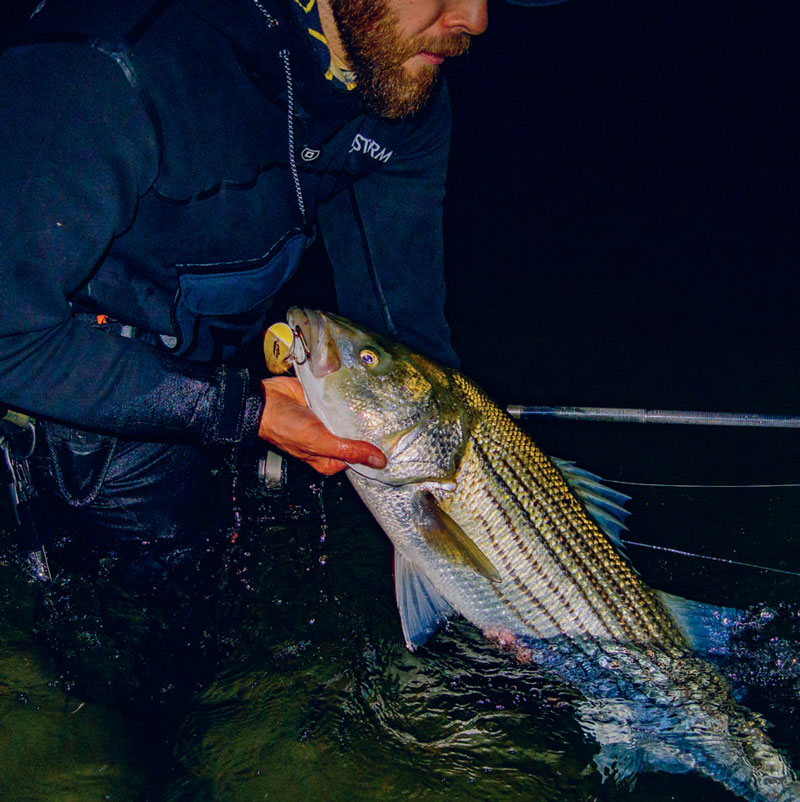 NorthBar Montauk Darter striper