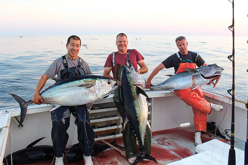 Welker Canyon tuna