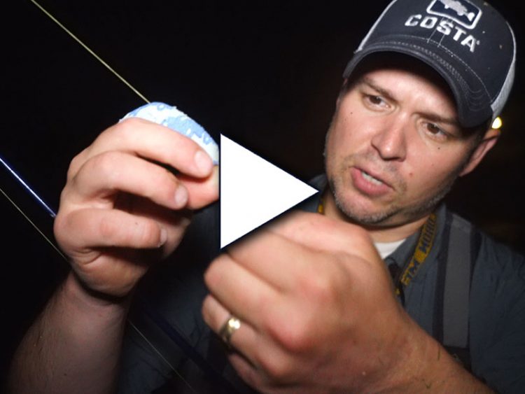 Teaser Rigs for Striped Bass