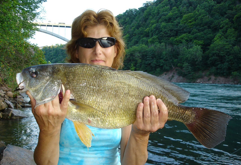 Nancy Colevecchia sheepshead