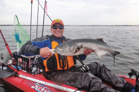 bluefish in the kayak