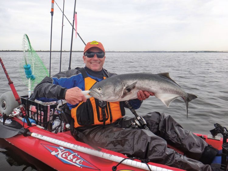 bluefish in the kayak