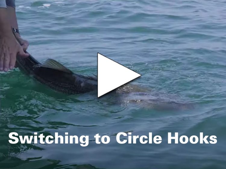 Switching To Circle Hooks video