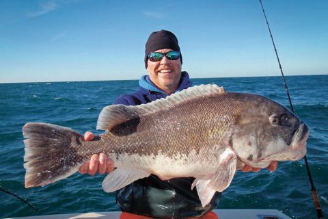 19-pound tautog