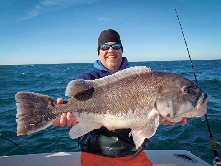 19-pound tautog