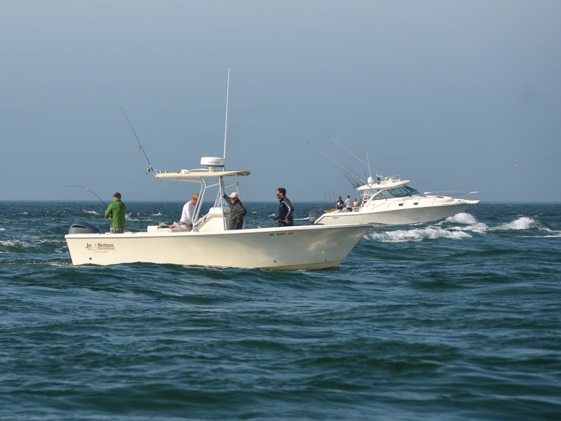 Etiquette Of Fishing The Rip