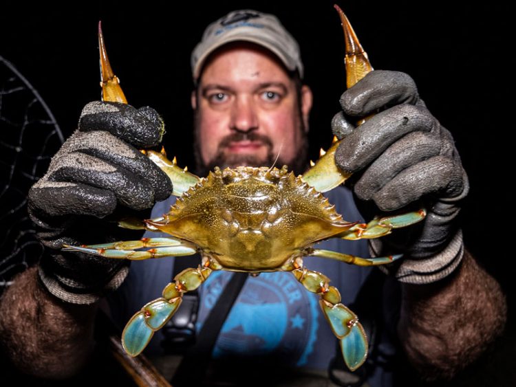 Nighttime Blue Crabbin