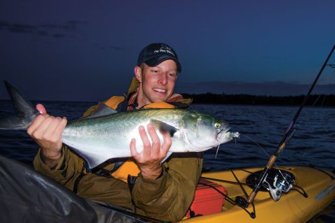 kayak bluefish