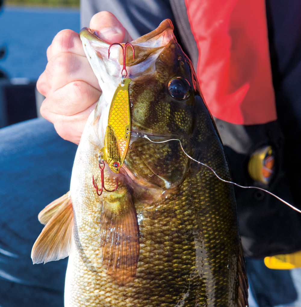 bladebait smallmouth