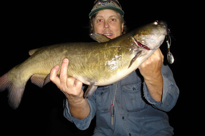 Mike Rzucidlo catfis