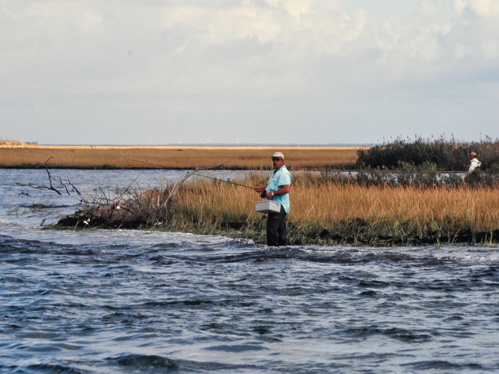 Wading for stripers on the fly