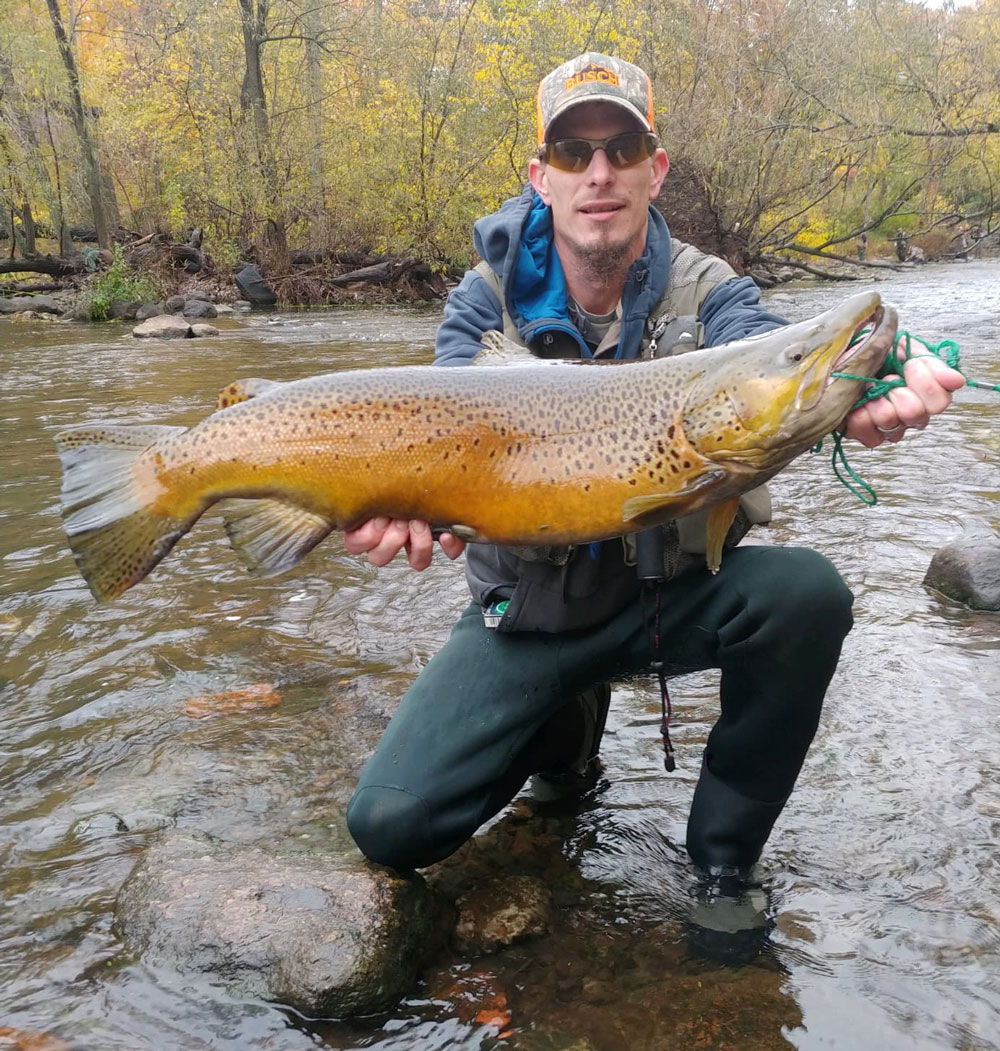 Anthony Mercer brown trout