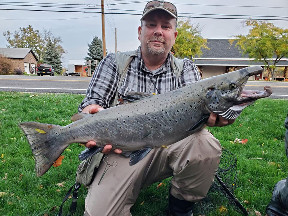 Brian Williams Atlantic salmon