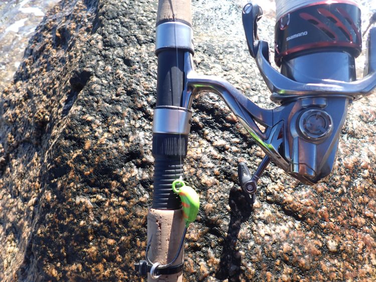 How to catch tautog using a lightweight spinning rod and reel.