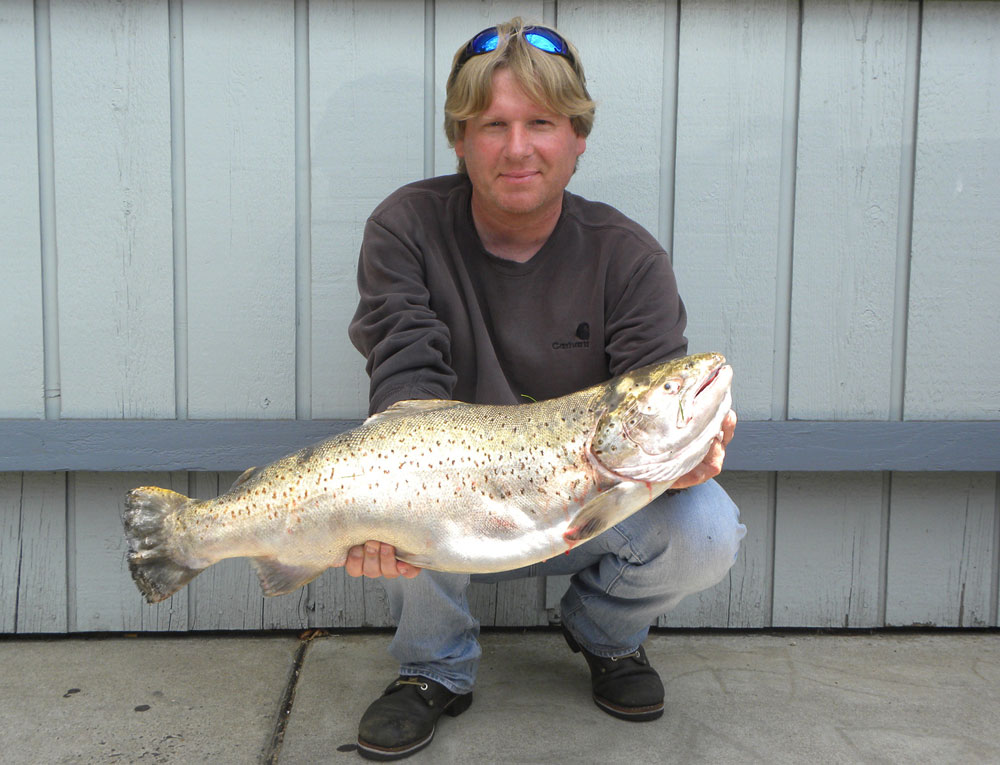 state record brown trout