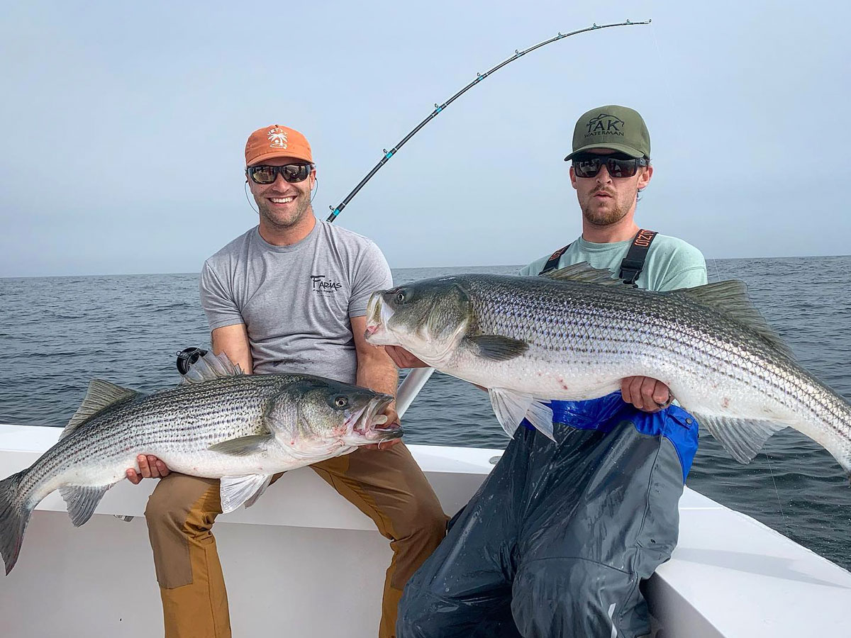 Fisherman's Headquarters stripers